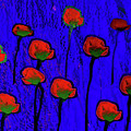 Poppy Flowers